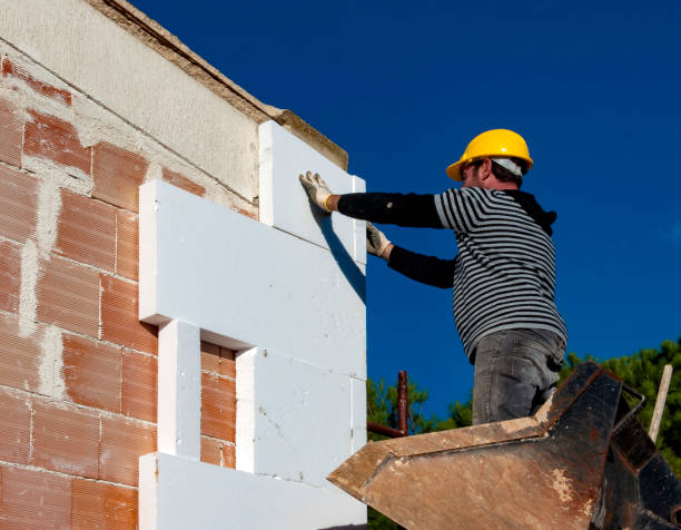 Best Insulation Materials and Products in Las Flores, CA