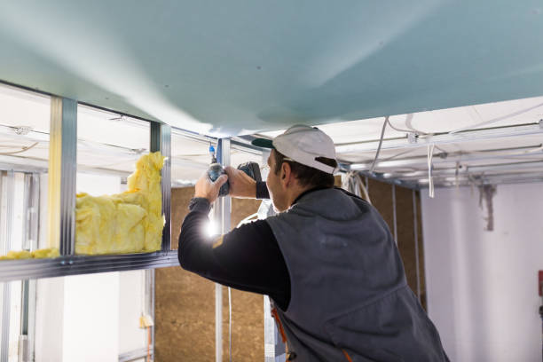 Best Insulation Maintenance and Repair in Las Flores, CA