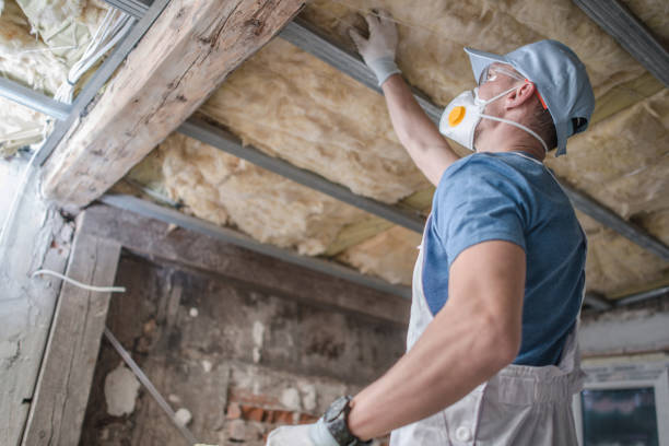 Best Energy Efficiency Solutions in Las Flores, CA