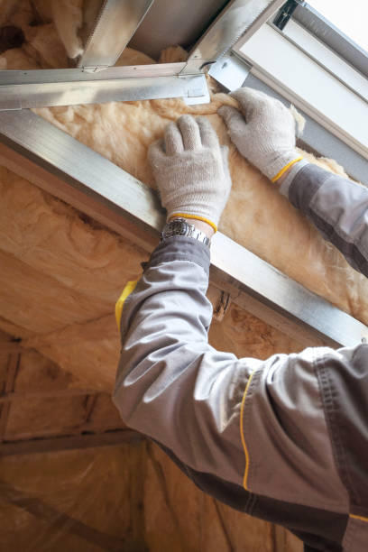 Best Insulation for Specific Applications in Las Flores, CA