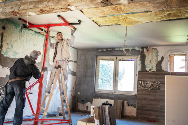 Best Insulation Maintenance and Repair in Las Flores, CA