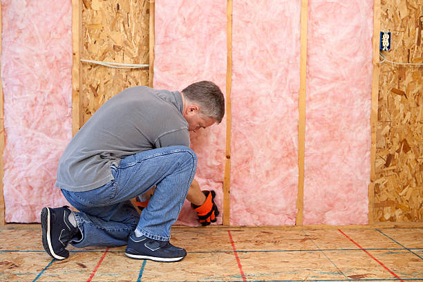Best Insulation for Specific Applications in Las Flores, CA