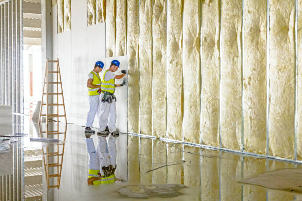 Best Insulation for Specific Applications in Las Flores, CA
